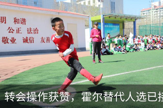 转会操作获赞，霍尔替代人选已接洽，3.19亿元转会被称“白菜价”